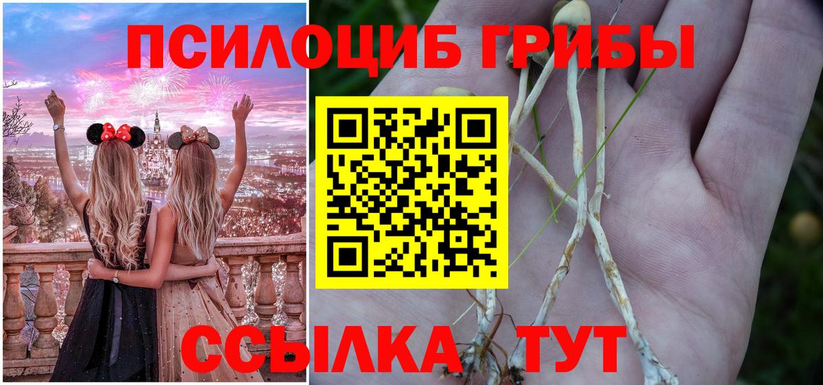 Псилоцибиновые грибы Psilocybe  купить наркоту  Вход с VPN  Кизляр  Галлюциногенные грибы мицелий 